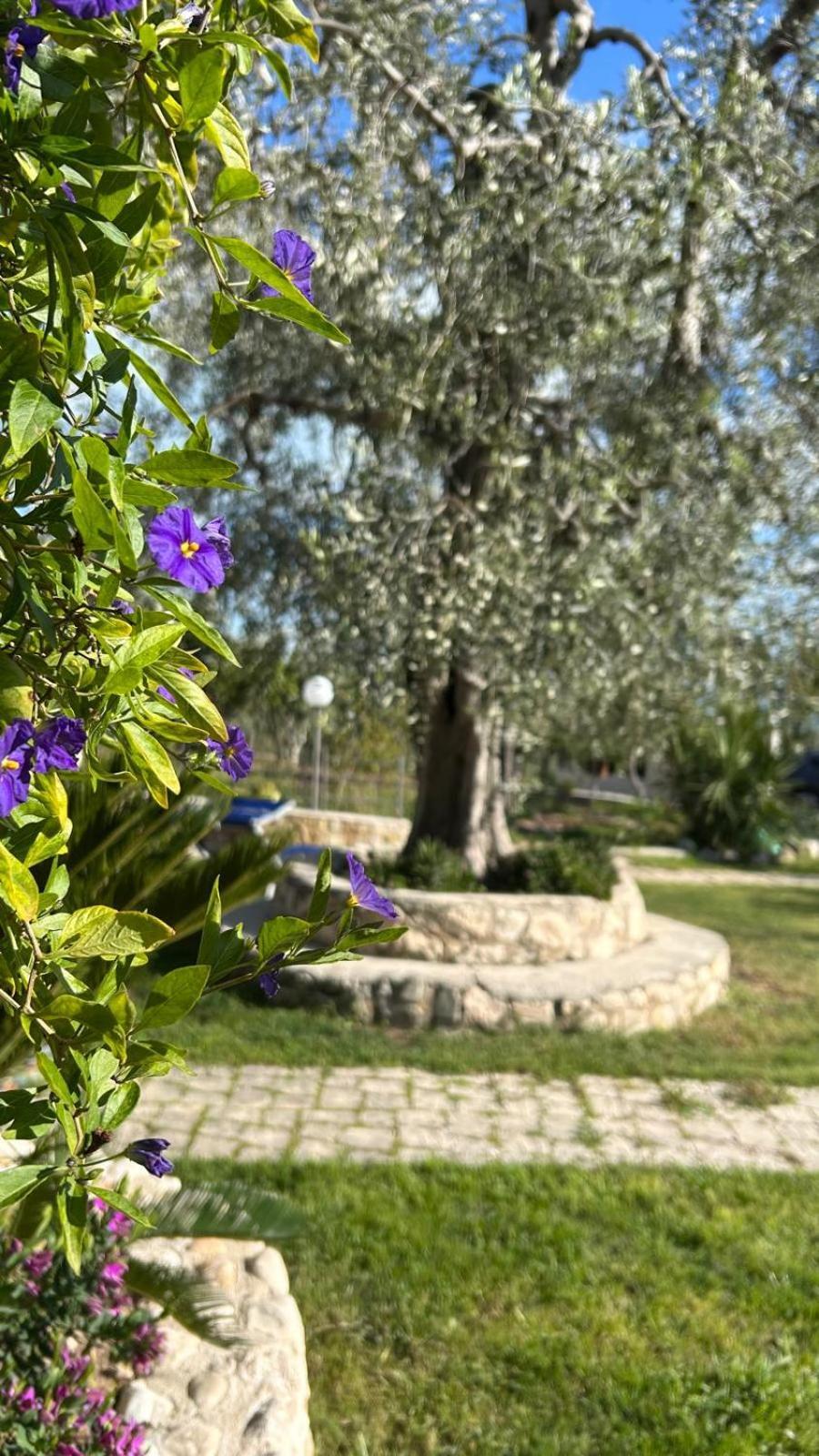 B&B Tor Di Lupo Mattinata Kültér fotó