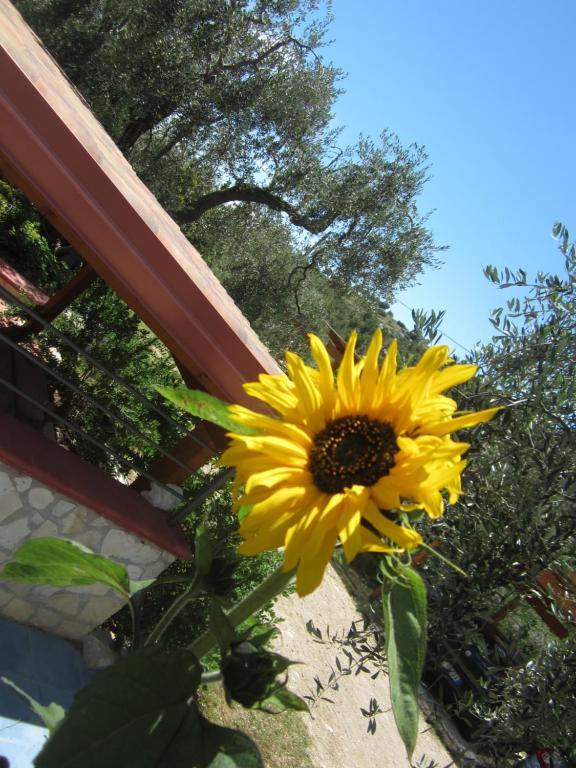 B&B Tor Di Lupo Mattinata Kültér fotó
